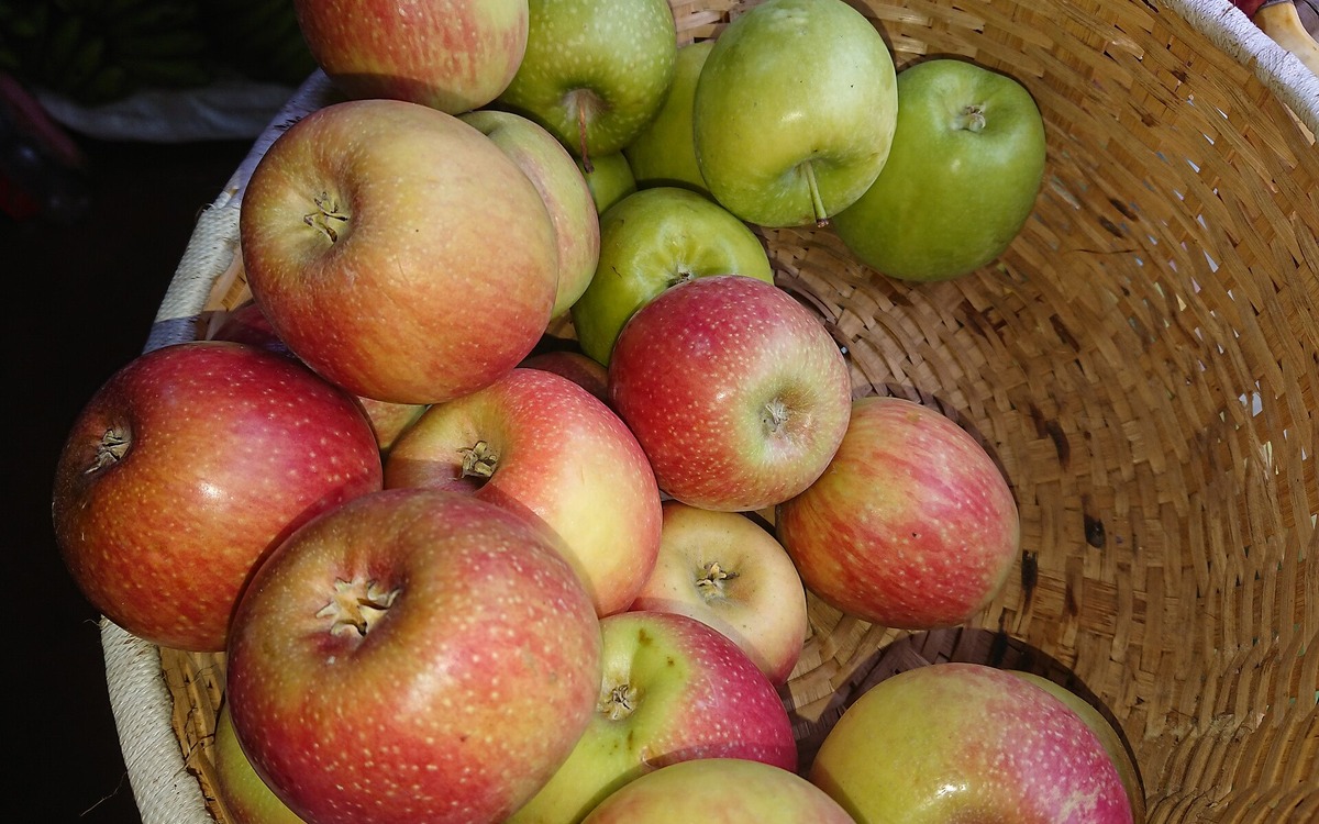 Whole fresh apples kept together for cool storage