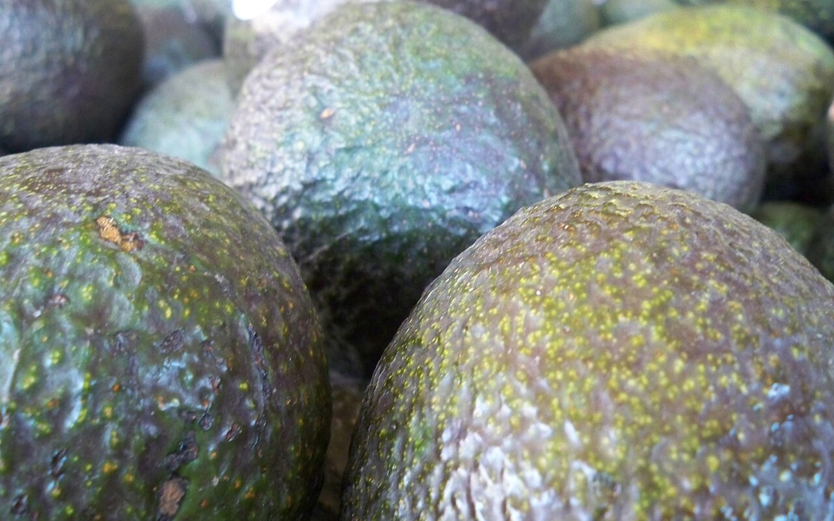 Whole avocados displayed for sale at a produce market
