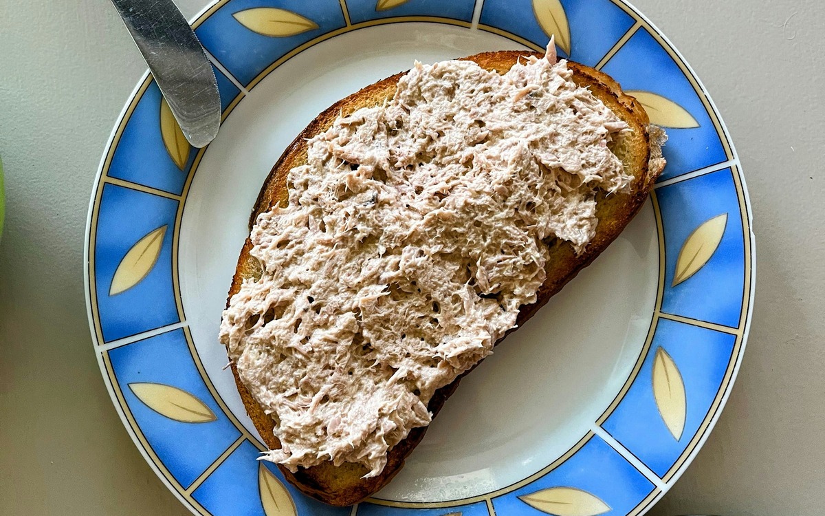 Tuna salad served on toast with fresh vegetables