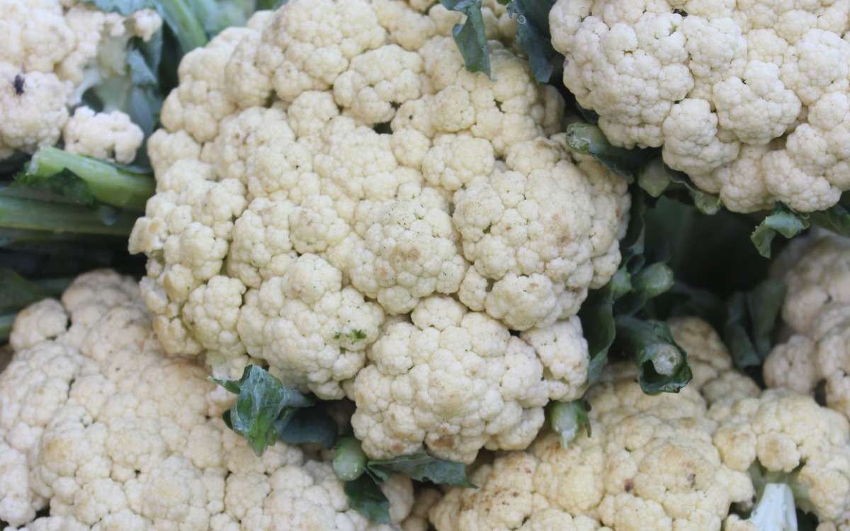 Fresh white cauliflower heads displayed at a produce market