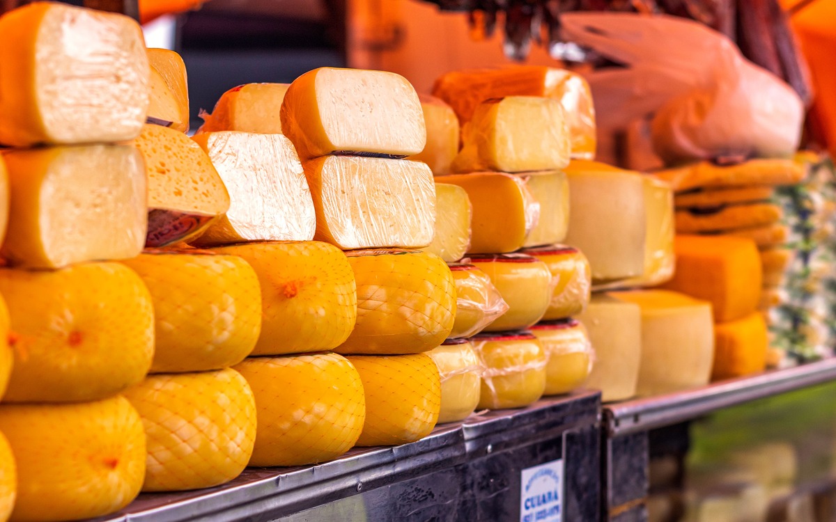 Assorted cheeses displayed for sale at a market counter