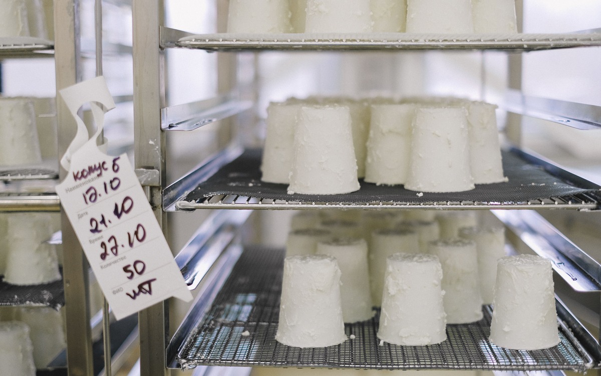Fresh white cheese arranged on stainless-steel racks
