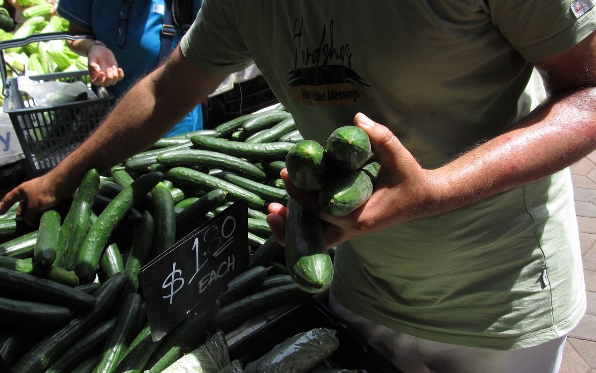 Fresh green cucumbers being selected at a market stall