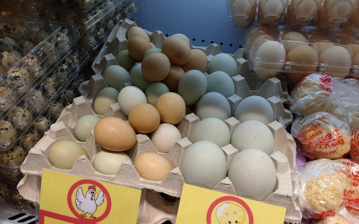 Cartons of eggs stored inside a refrigerator