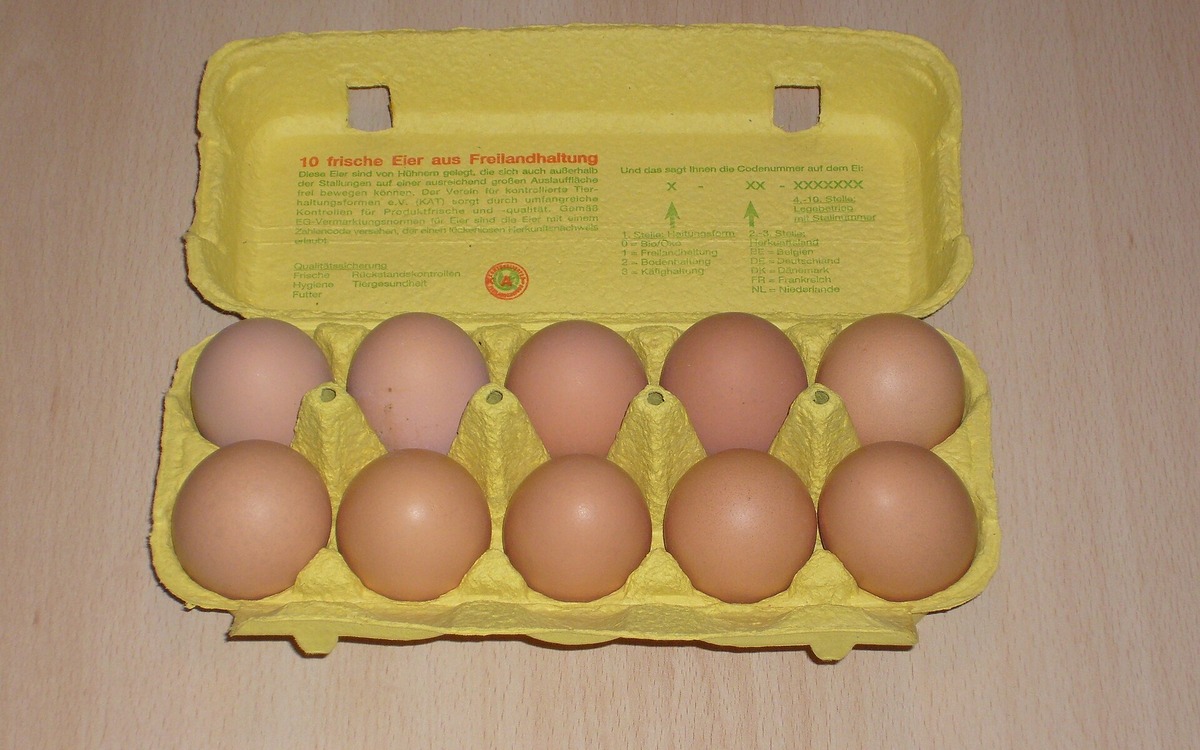 Brown eggs arranged in an open carton for a grocery shopping check
