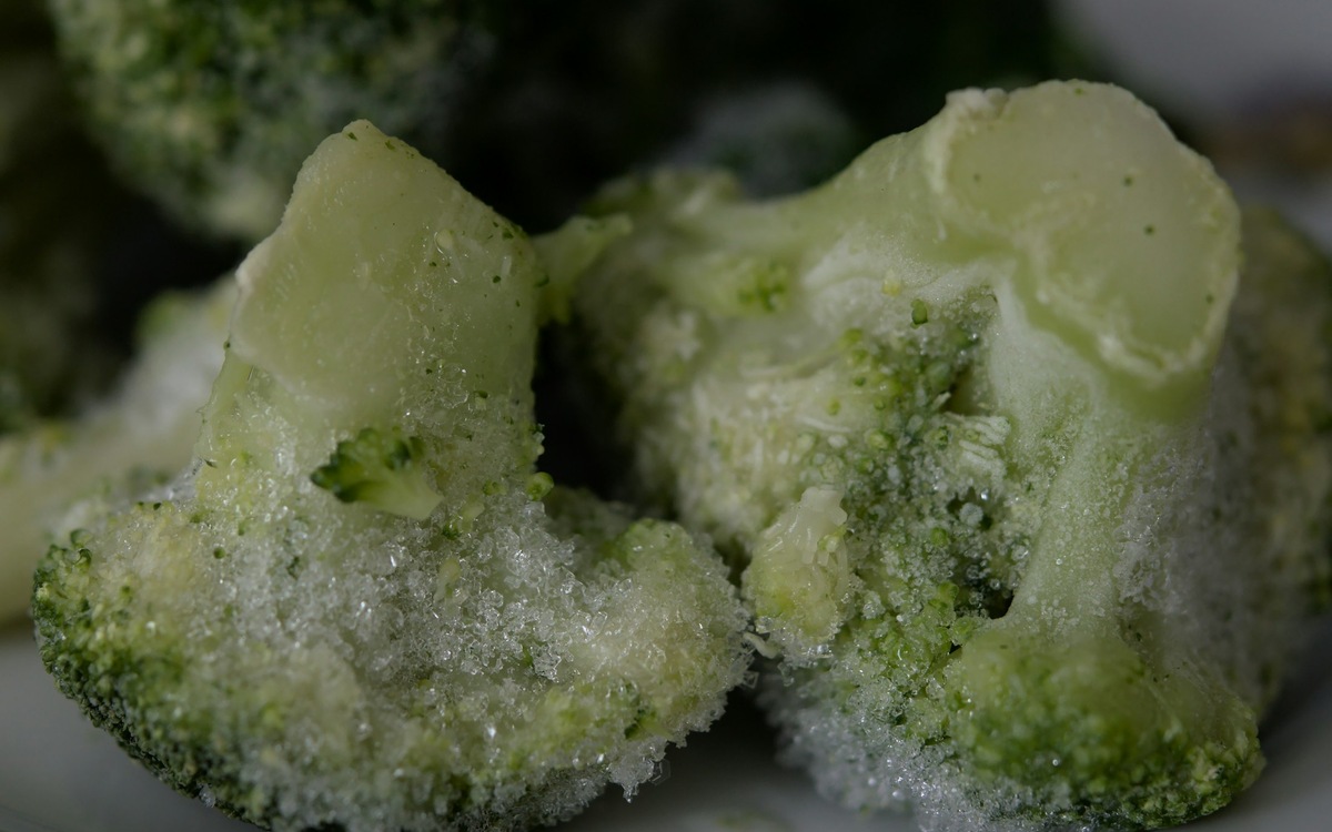 Frozen green broccoli served on a white plate