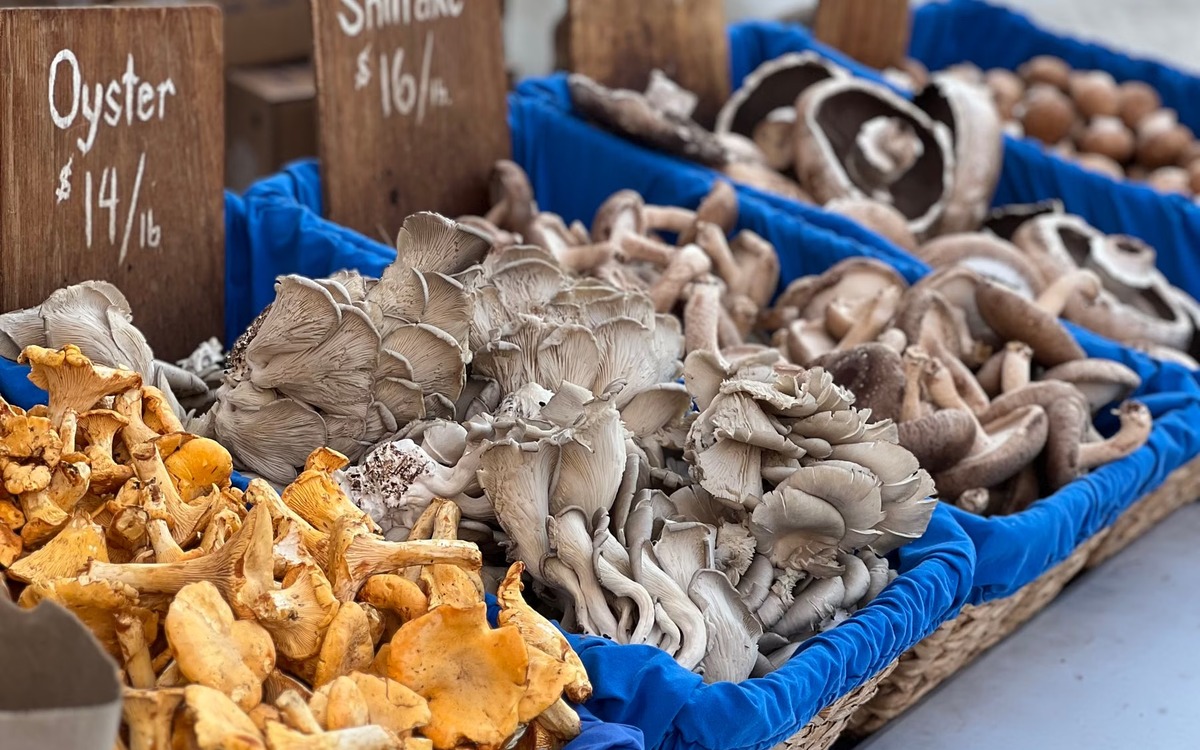 Fresh edible mushrooms displayed for sale at a produce market
