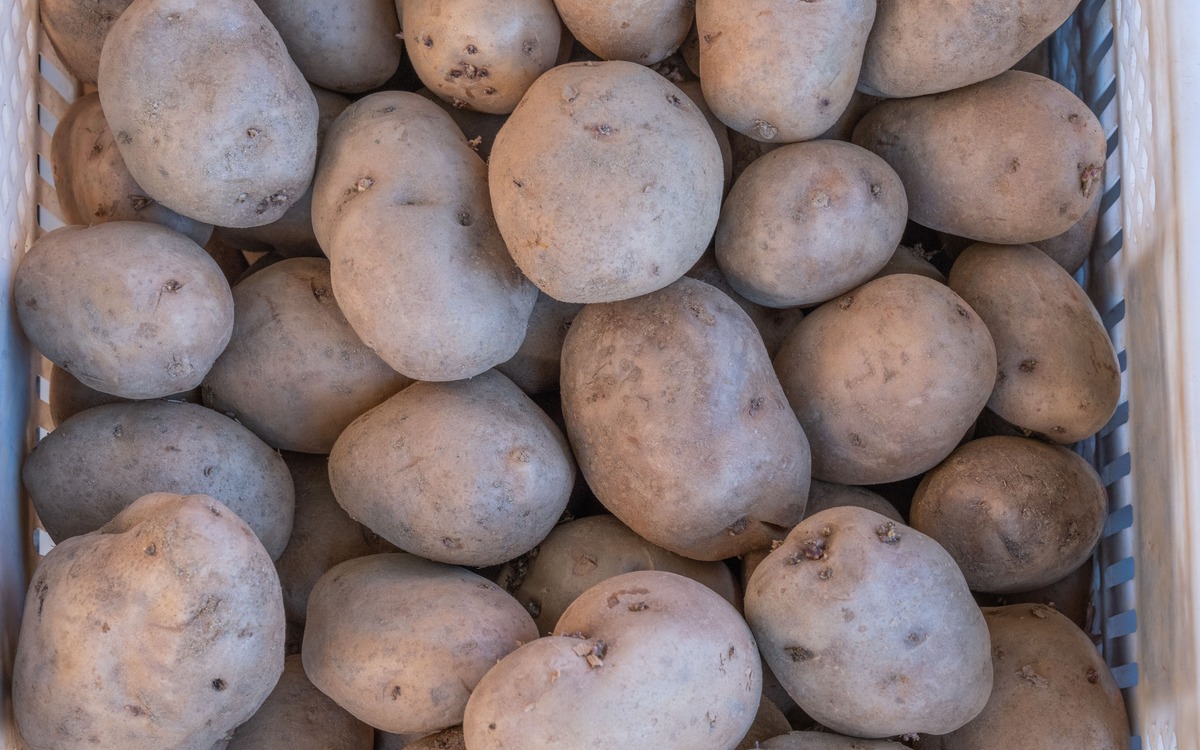Whole raw potatoes arranged in a ventilated basket for cool dark storage