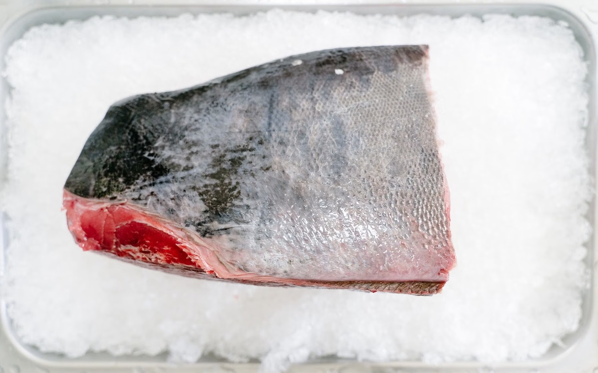 Raw salmon kept cold on ice to illustrate safe refrigerated storage