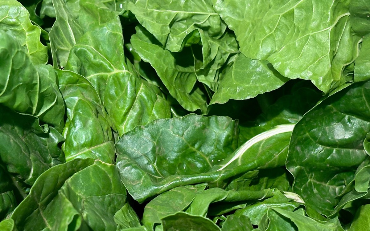 Close-up of crisp fresh green spinach leaves