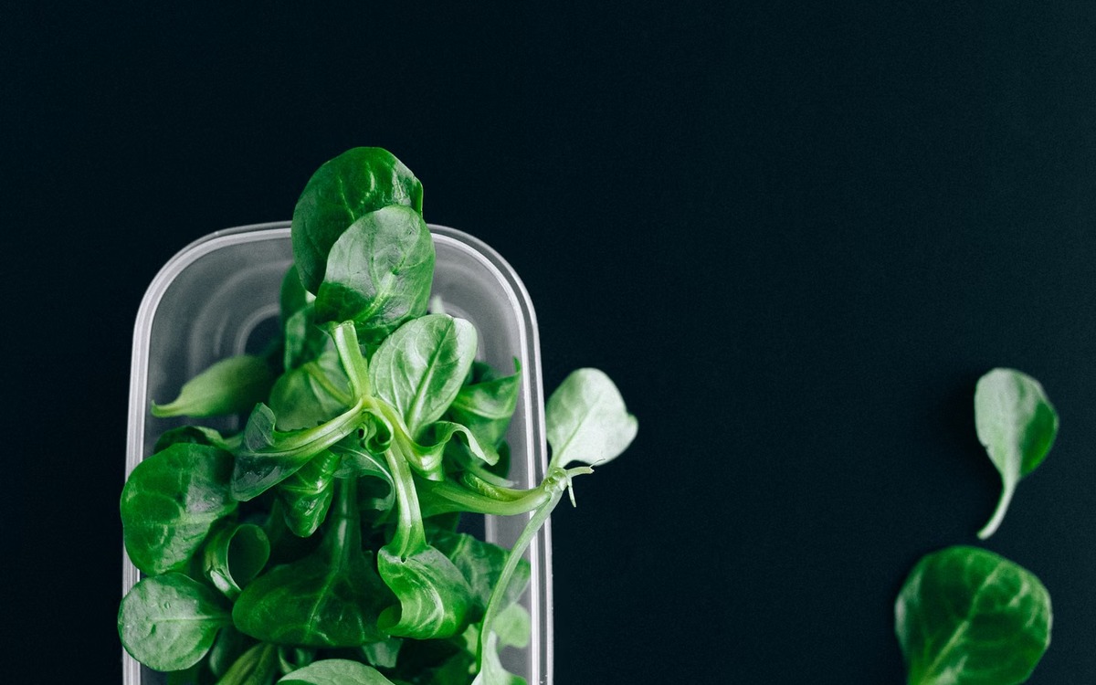 Fresh spinach stored dry and cold in a refrigerator container
