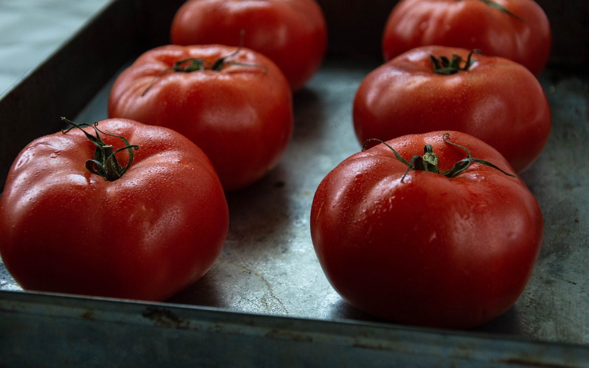 Fresh ripe tomatoes on a tray ready to be washed, cut, and prepared for freezing