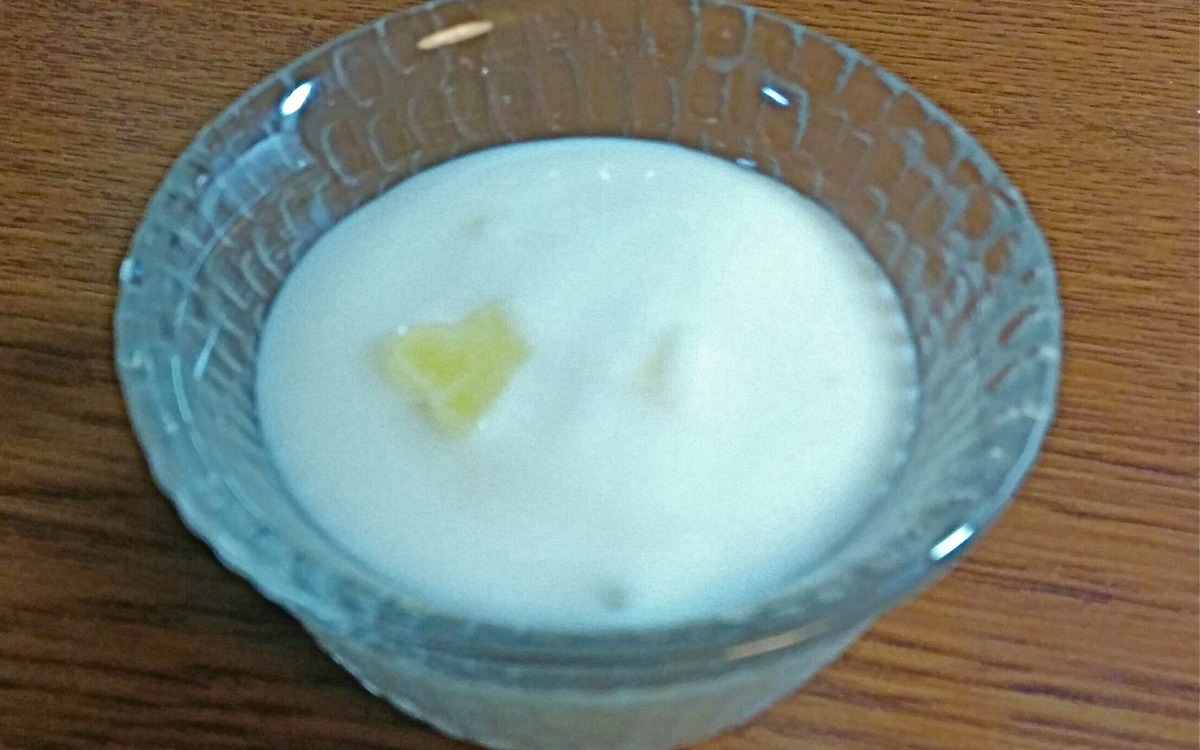 Bowl of yogurt representing refrigerated dairy storage and serving